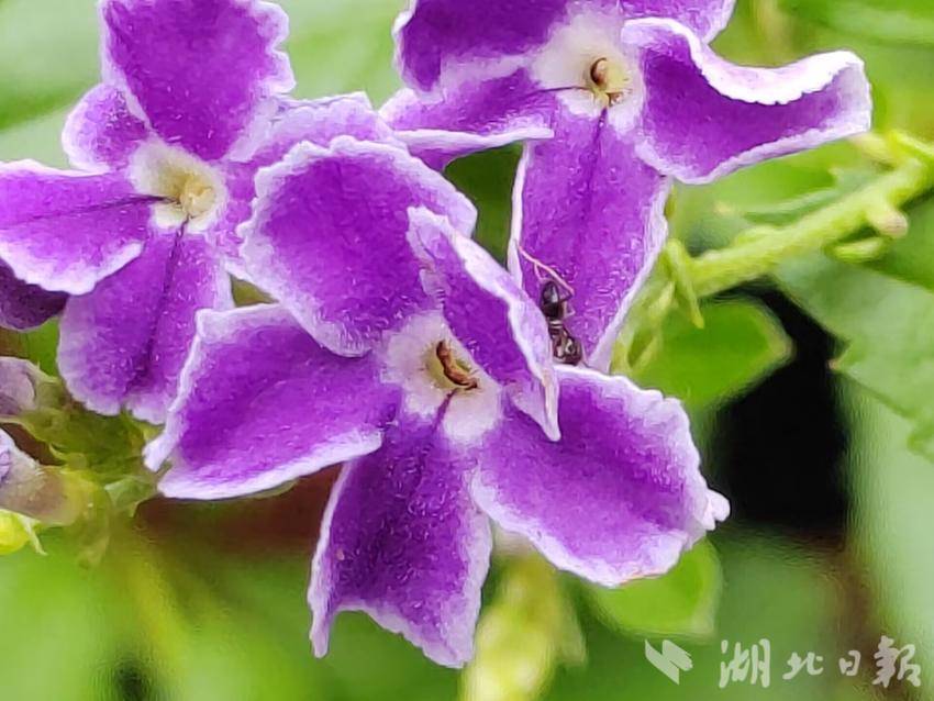 茄子app官网下载安装